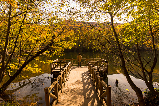 Man and nature in autumn time - Forest, river, lake