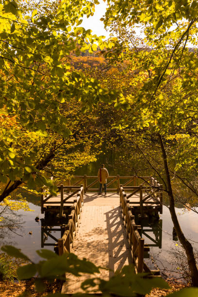 Man and nature in autumn time - Forest, river, lake