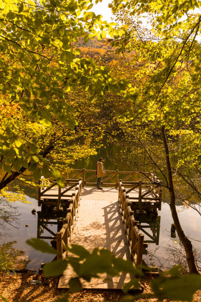 Nice tranquil morning at Hebei,  Xion'an county close to Beijing. Outside of mega city Beijing weather is often more clean and fresh.