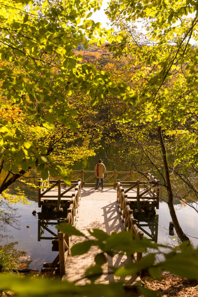 istock Man and nature in autumn time - Forest, river, lake 1070774418