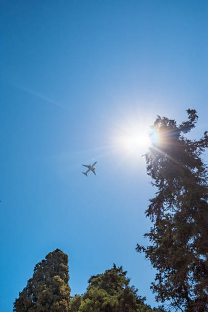 istock Plane flying on sky above tops of trees  (Rhodes, Greece) 1070784948
