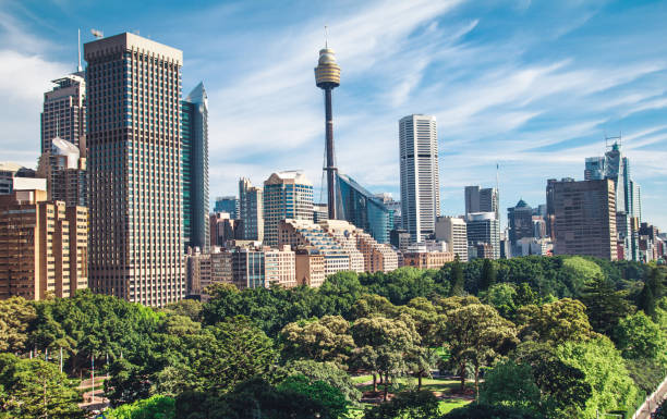 istock Sidney cityscape panorama and Hyde park view 1070802318