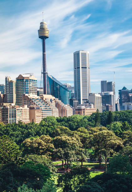 istock Sidney cityscape panorama and Hyde park view 1070802384
