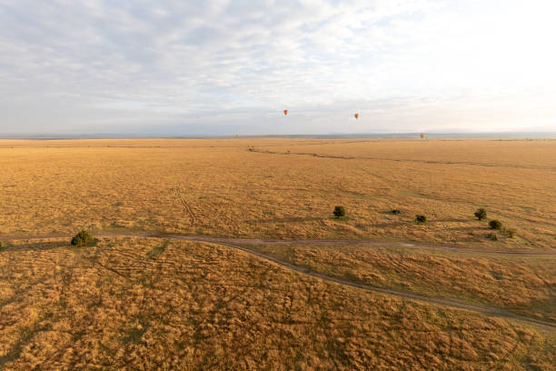 istock Masai Mara from the air, Kenya, Africa 1070802946