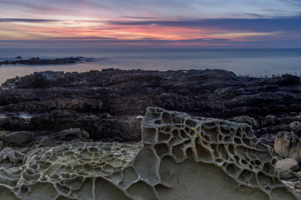 Tafoni formations in Bean Hollow State Beach. San Mateo County, California, USA. bean hollow beach stock pictures, royalty-free photos & images