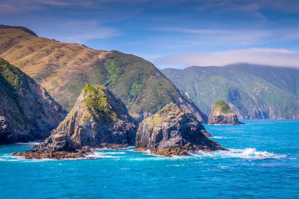 stretto di cook, nuova zelanda tra il nord e l'isola del sud - cook strait foto e immagini stock