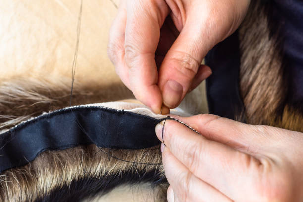 istock craftsman stitches fur pelts by needle close up 1070817650