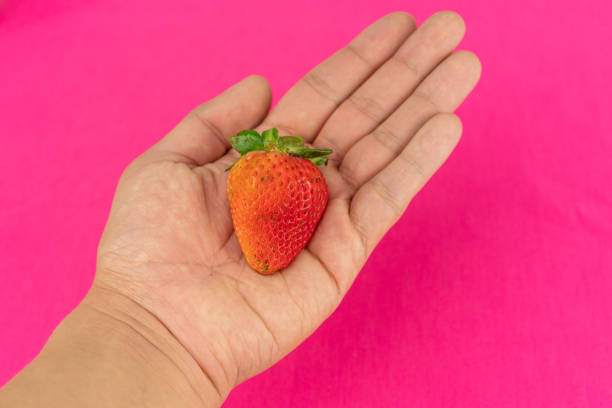 istock A strawberry in the hand 1070823312