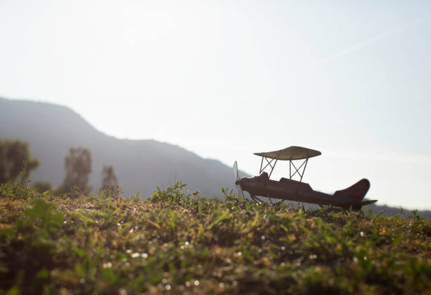 istock Silhouette of Model Plane on Grassy Hill 1070823866