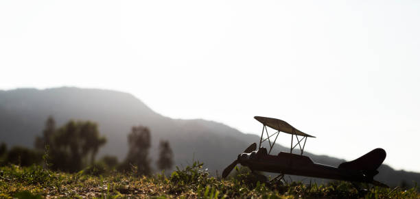 istock Silhouette of Model Plane on Grassy Hill 1070825028