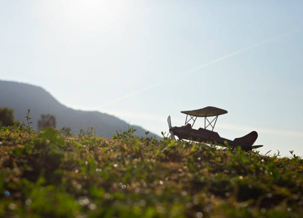 Silhouette of Model Plane on Grassy Hill