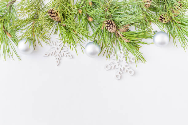 istock Holiday background with christmas branches 1070833124