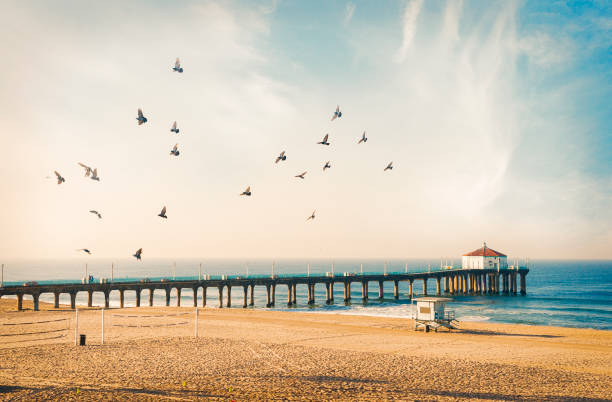 istock Manhattan Beach pier with birds 1070837582