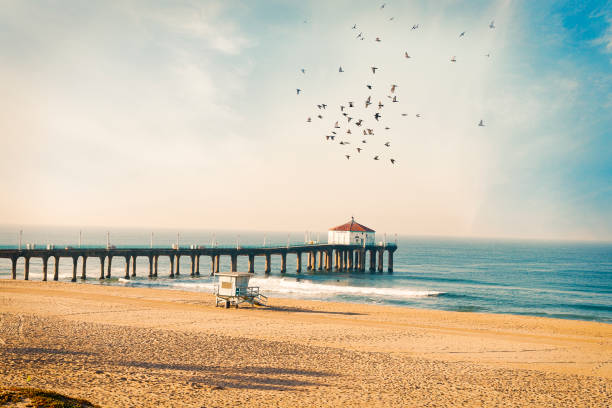 Manhattan Beach pier with birds View of Manhattan Beach and pier with lifeguard hut in early morning. beach hut photos stock pictures, royalty-free photos & images
