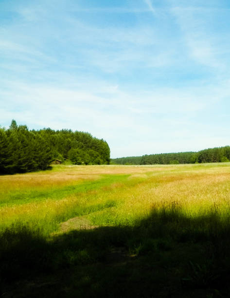 istock Field in Kashubian village. 1070842882