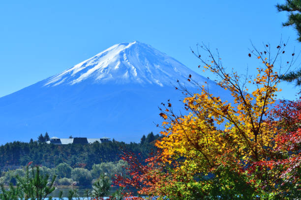 mt fuji i jesienny kolor liści w regionie fuji five lakes, japonia - fuji mt fuji yamanashi prefecture japanese fall foliage zdjęcia i obrazy z banku zdjęć