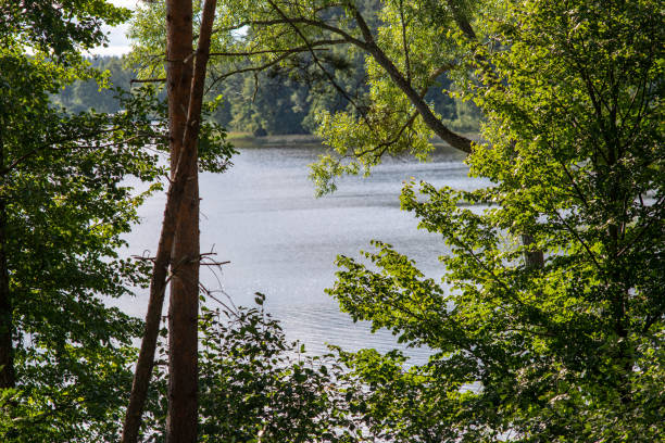 istock natural body of water. pond with reflections 1070849430