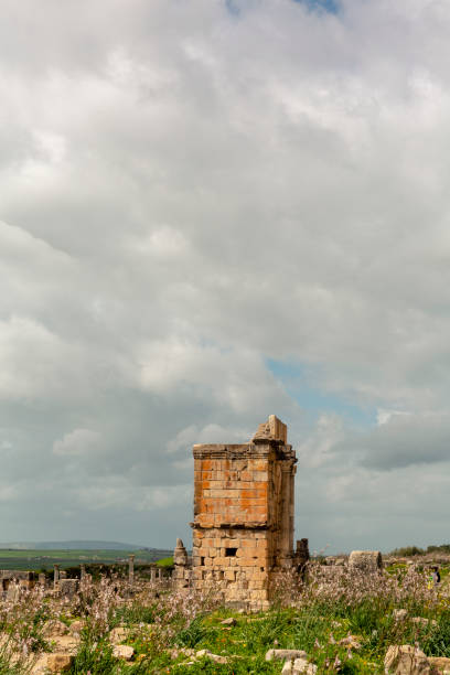 istock Volubilis Ruins in Morocco 1070854636