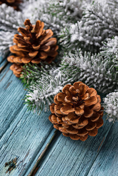 istock Christmas or New year festive background with pine cones 1070856714