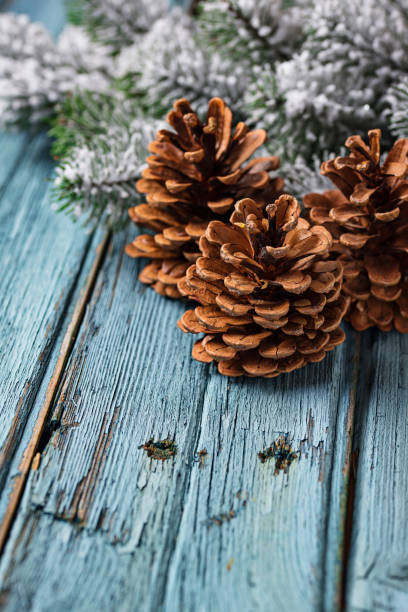 istock Christmas or New year festive background with pine cones 1070856720