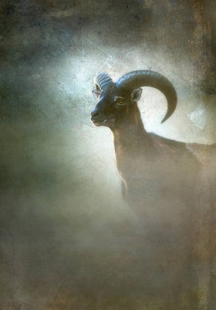 istock Mouflon ram in mist. Old master painting style. 1070858894