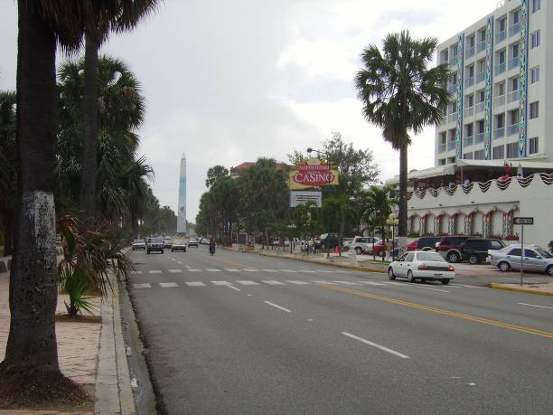 avenida george washington, santo domingo, república dominicana - palm tree boulevard domingo santo - fotografias e filmes do acervo