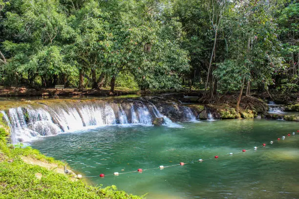 The water in the stream is green and bright green tree at Kapo Waterfall Fores Park , Chumphon in Thailand.