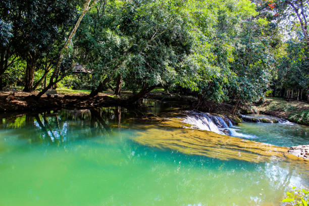 el agua de la corriente es verde y brillante árbol verde kapo cascada fores park, chumphon en tailandia. - autumn water leaf stream fotografías e imágenes de stock