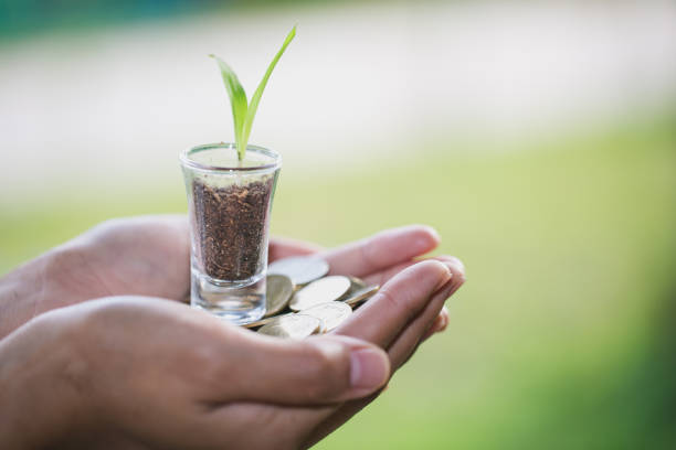 Plant growing from money (coins) in the glass jar held by a man's hands, business and financial metaphor concept, Plant growing from money (coins) in the glass jar held by a man's hands, business and financial metaphor concept, deposit bottle stock pictures, royalty-free photos & images