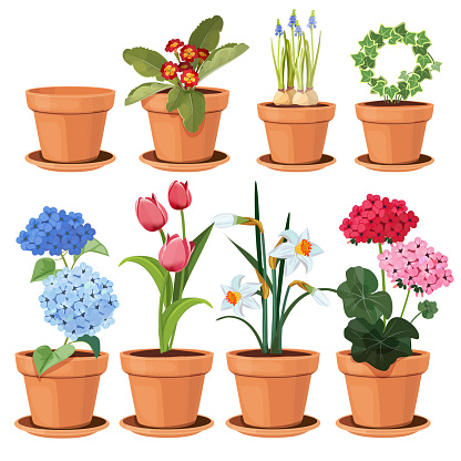 Flowers pot. Decorative colored plants grow at home in funny pots vector cartoon illustrations set isolated. Flowerpot and houseplant, tulip and geranium flower