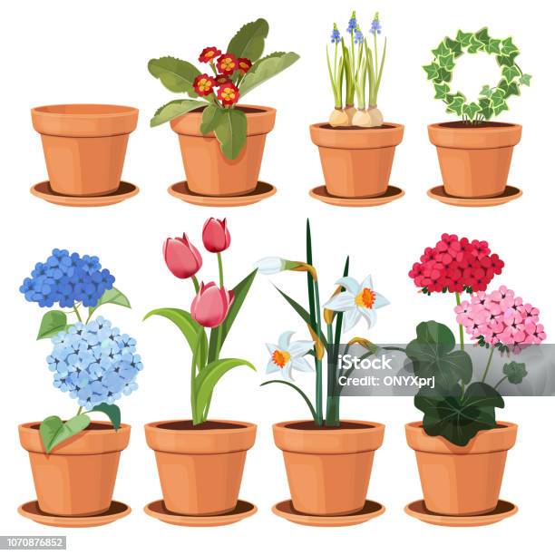Flowers Pot Decorative Colored Plants Grow At Home In Funny Pots Vector Cartoon Illustrations Set Isolated Stock Illustration - Download Image Now