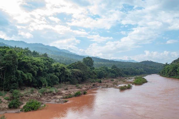 istock The river with red from the heavy rain flowing from the mountains. 1070882392