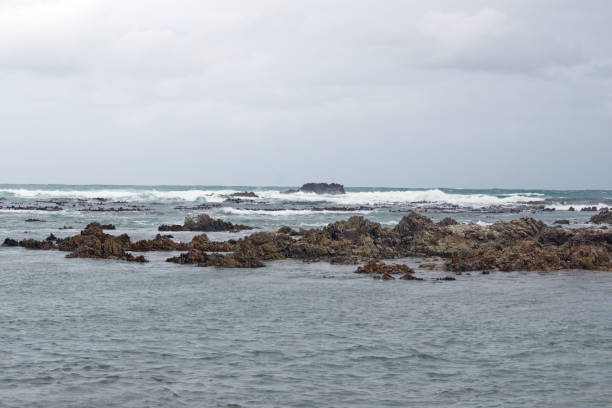 istock Rocky coastline near Gansbaai 1070882632
