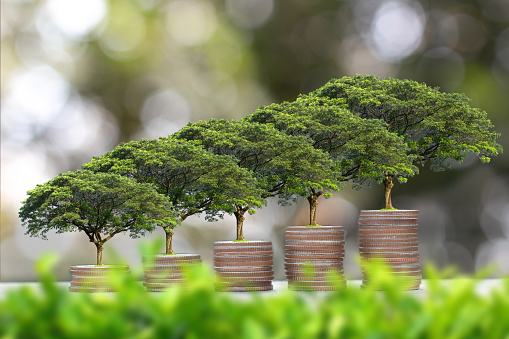 plant Growing on coins stack - Investment And Interest Concept - finance sustainable development.