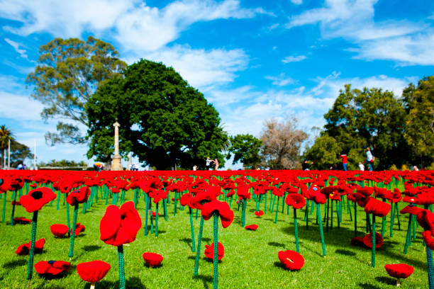 istock Artificial Poppies in Kings Park 1070888076
