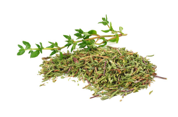 istock green thyme with dried thyme leaves isolated on white background close up 1070890366