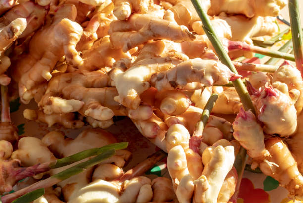 istock Ginger, fresh from the farm with the leaves green 1070893578