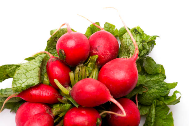 istock Bunch of Radishes 1070893944