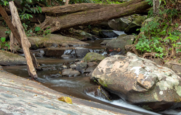 istock Waterfall flowing from the mountains at Phu SOI DAO waterfall in Loei ,Thailand. 1070895628