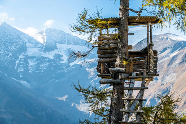 ponto de observação da vida selvagem - high seat - fotografias e filmes do acervo