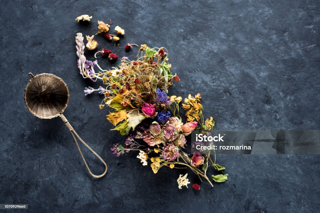 Secado De Hierbas Medicinales Y Flores Para Infusiones En Un Fondo De Hormigón Negro Vista Superior Foto de stock y más banco de imágenes de Aire libre - iStock Secado De Hierbas Medicinales Y Flores Para Infusiones En Un Fondo De Hormigón Negro Vista Superior Foto de stock y más banco de imágenes de Aire libre - iStock