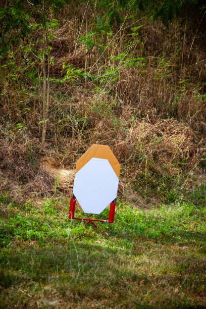 istock Clean target for battle shooting, IPSC target shooting guns. 1070931310