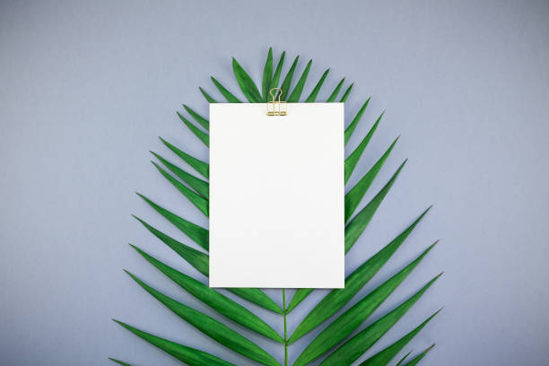 istock Mockup blank white postcard tropical palm leaves 1070935350