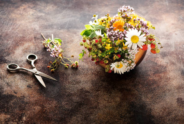healing herbs and flowers in a wooden bowl for making herbal tea and scissors on a brown concrete background - oregano freshness herb brown imagens e fotografias de stock