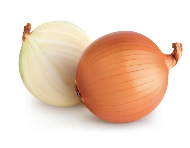 Onions isolated. Realistic vector 3d illustration Onions isolated. Realistic vector 3d illustration onion stock illustrations