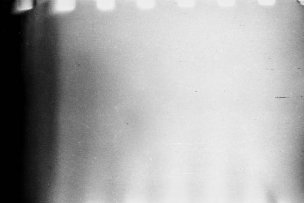 черно-белый текстурированный фон с легкими протечки и зерном. - camera old retro revival old fashioned стоковые фото и изображения