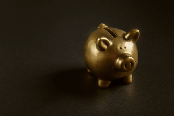 istock Luxury golden pig money box 1070964386