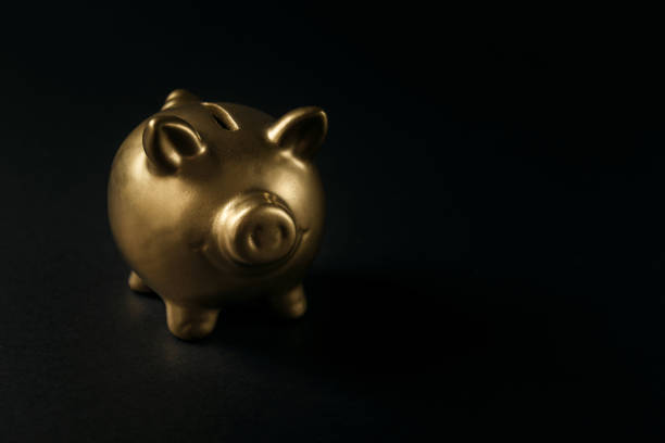 istock Luxury golden pig money box 1070964478