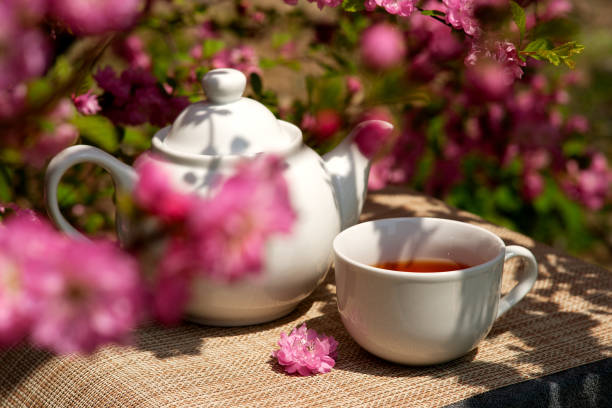 istock Tea set among the cherry blossoms. 1070970242