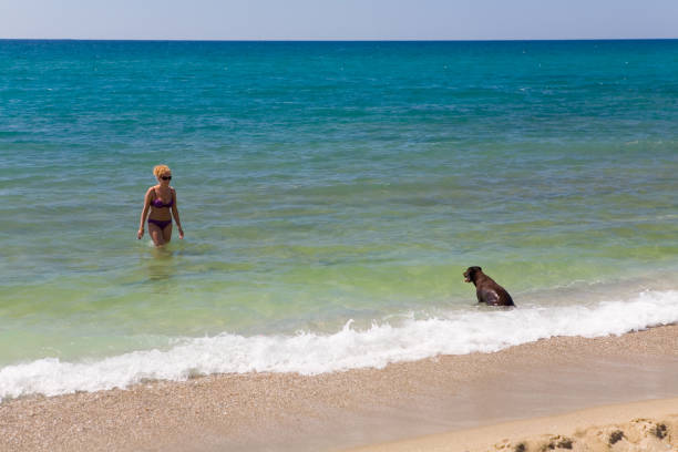 istock Slender bather and big dog playing in the sea. 1070971622